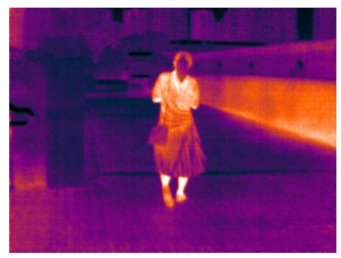 DP22-2.jpg DP22-2.jpg